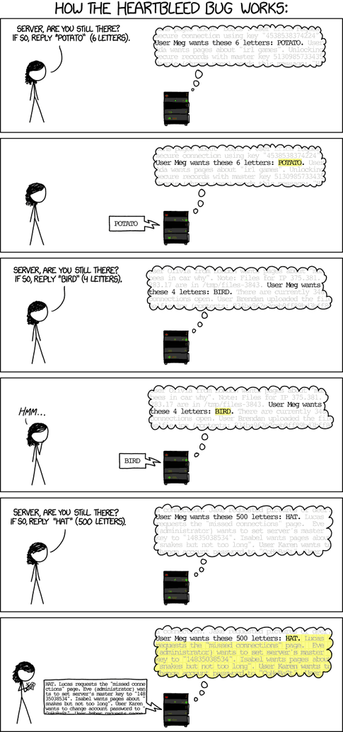 Pojok Programmer Heartbleed OpenSSL for Dummies  infographics How Heartbleed Works